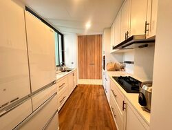 Duchess Residences (D10), Condominium #484786271